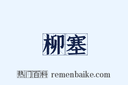 柳塞是什么意思的图片